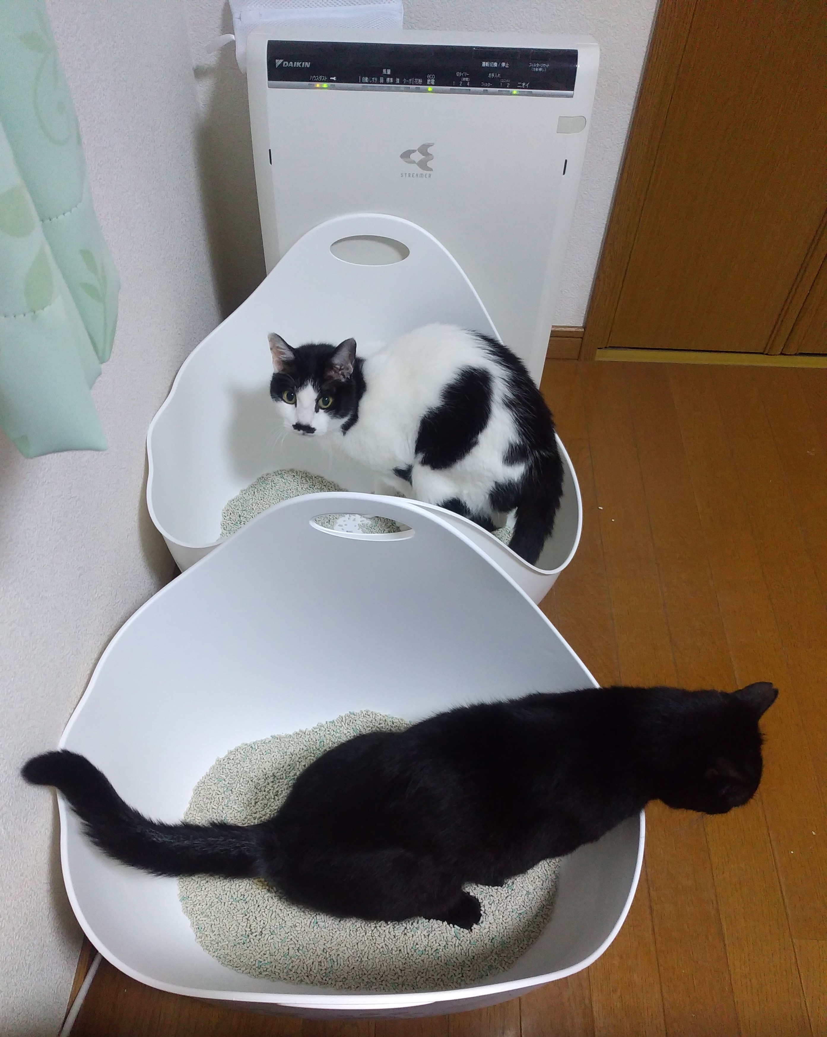 口コミ レビュー リターボックス 猫用トイレ ペット用品の通販サイト ペピイ Peppy