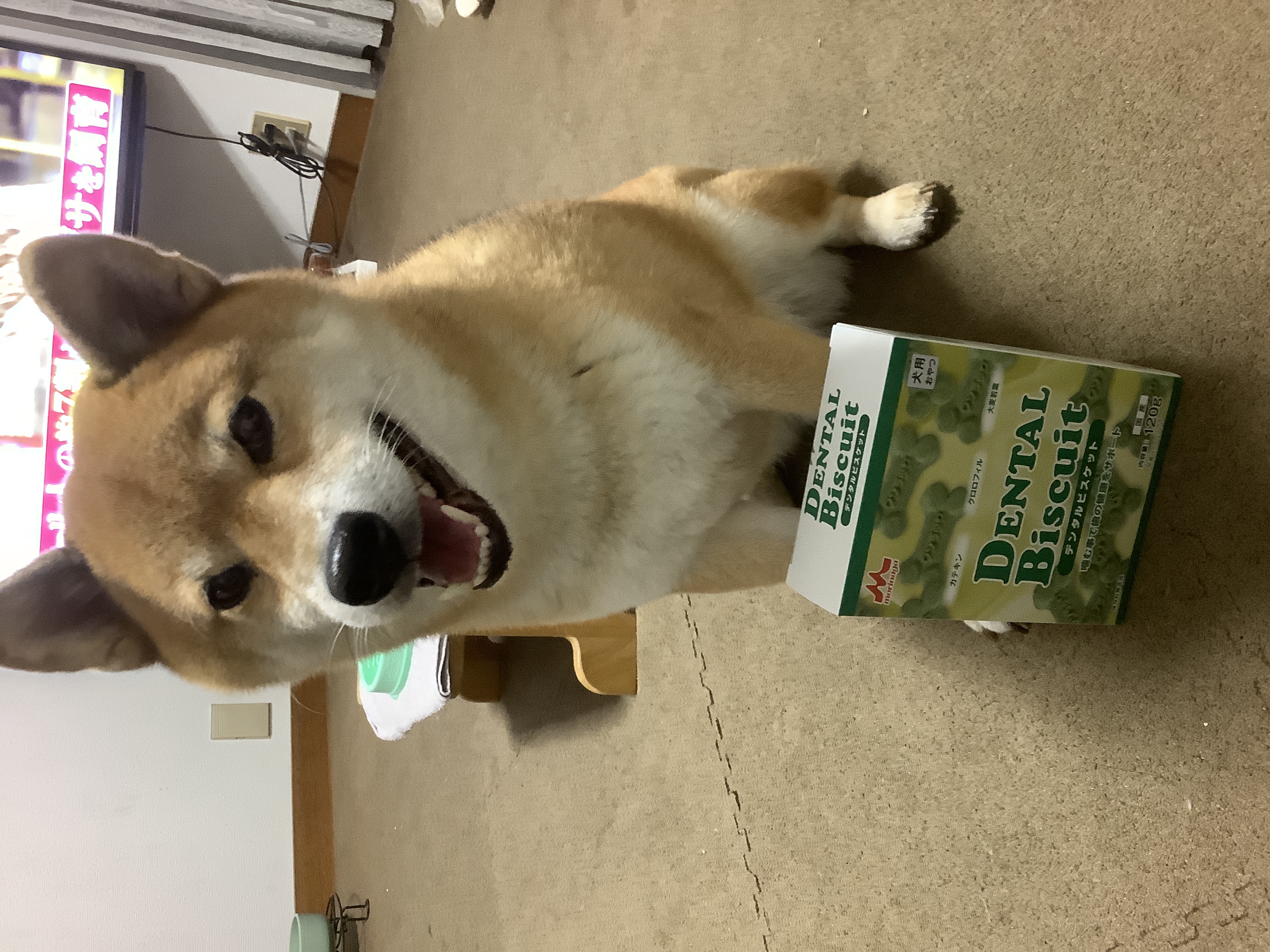 口コミ レビュー ワンラック デンタルビスケット 犬用おやつ ペット用品の通販サイト ペピイ Peppy