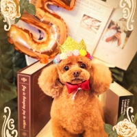 ランコ　ボールシリーズ （天然ゴム製の犬用おもちゃ）