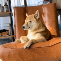 シュプレモ　ウェットミニパウチ