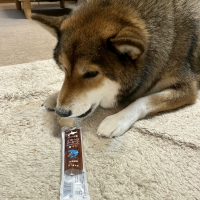 北の極 ごほうびソーセージ