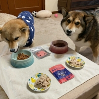 ドットわん ふんわり砂肝