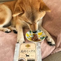 乳酸菌入り馬肉レトルト