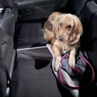 座席下への落下を防ぐ広々ボード（後席用）（旧：スペースボード）