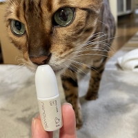 ナノウエルオーラルケア（愛猫用）