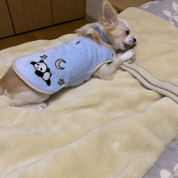 【PEPPY　LIFE】着せるのらくちんウェア（フルオープン）