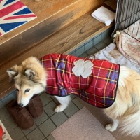 2025年モデル【PEPPY　LIFE】らくちんあったかレインコート