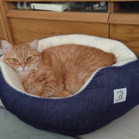 ★Ｓｉｐｐｏｌｅ　２ＷＡＹもちふわオーバルベッド