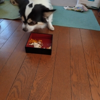 コミフデリ お正月料理【予約商品12月28日お届け】