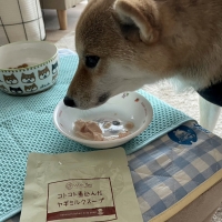 With You コトコト煮込んだ犬用ヤギミルクスープ