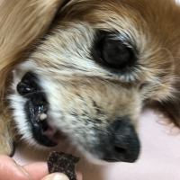 京都産 鹿肉ジャーキー(PEPPY LIFE 犬おやつシリーズ)