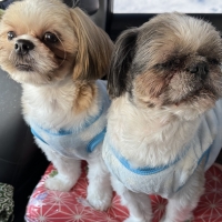 広島産 若鶏ささみジャーキー(PEPPY LIFE 犬おやつシリーズ)