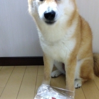 静岡産 しらすせんべい(PEPPY LIFE 犬おやつシリーズ)