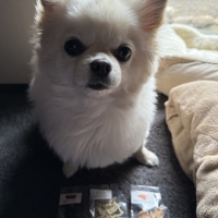京都産鹿肉ジャーキー (素材のまんまおやつ犬シリーズ) 旧：PEPPYLIFEおやつ