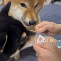 広島産 若鶏ささみジャーキー(PEPPY LIFE 犬おやつシリーズ)