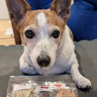 京都産 鹿肉ジャーキー(PEPPY LIFE 犬おやつシリーズ)