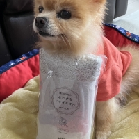 ★綿１００％のふわさらドライタオル