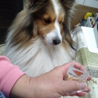 広島産 若鶏ささみジャーキー(PEPPY LIFE 犬おやつシリーズ)