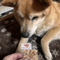 広島産 若鶏ささみジャーキー(PEPPY LIFE 犬おやつシリーズ)