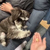 広島産 若鶏ささみジャーキー(PEPPY LIFE 犬おやつシリーズ)