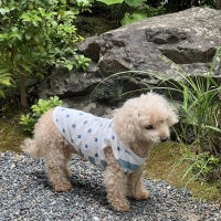 広島産 若鶏ささみジャーキー(PEPPY LIFE 犬おやつシリーズ)