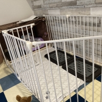 アレンジサークル・スチール（犬 サークル 広い）