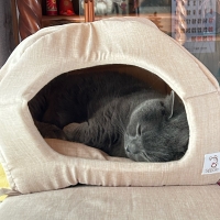 Ｓｉｐｐｏｌｅ　ケージ用天井かまくらベッド