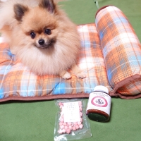 洗える　あごのせマット　24年柄