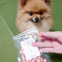 新潟もち米あられ　ころん