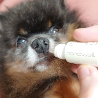 ナノウエルオーラルケア（愛犬用）