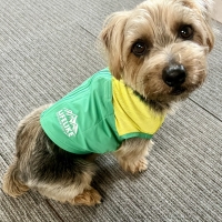 【LIFE　LIKE（ライフライク）】アイスビタミンカラーベスト