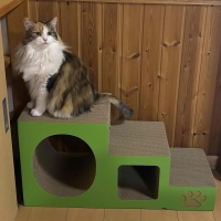 ステップトンネル爪とぎ
