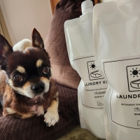 ランドリーきらら（ペット専用洗濯洗剤 犬 猫）