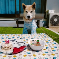 新潟もち米あられ　ころん