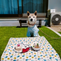 Ｓｉｐｐｏｌｅ わんデリ(犬 トッピング）