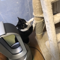 くるっと巻くだけ爪とぎカバー　キャットタワー用