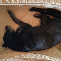 スクエアカドラー・防水