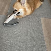 消防ホースのパキパキおもちゃ