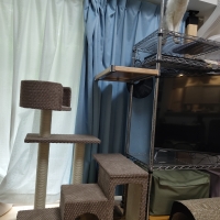 ローステップタワー（高さ97cm 据え置き型 シニア猫 子猫）