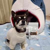 ＳＩＺＵＫＡ 北海道産サーモンシリーズ（犬用おやつ）