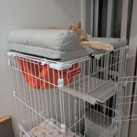 ケージ用天井ベッド　枕付き