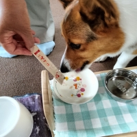 Ｓｉｐｐｏｌｅ 犬おやつ わんみぃ（無添加 国産）