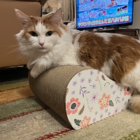 ごろん猫の爪とぎ　ナチュラル（インテリア 段ボール製)