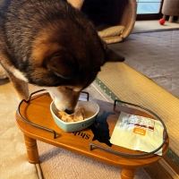 With You コトコト煮込んだ犬用ヤギミルクスープ