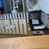 組み換えできるペットフェンス