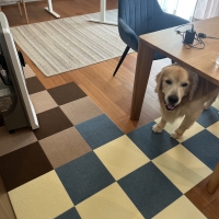 ピタッと吸着タイルマット│２色セット（スクエア・小）30×30cm