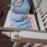 ふんわりクールカドルベッド（旧：ソフトクールカドルベッド）