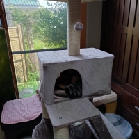 どこでもスリムキャットタワー（高さ147cm　据え置き型　スリム　ハウス）