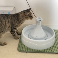 ドリンクウェル　３６０