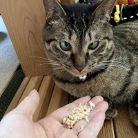 広島産　若鶏ささみジャーキー（PEPPY LIFE猫おやつシリーズ）